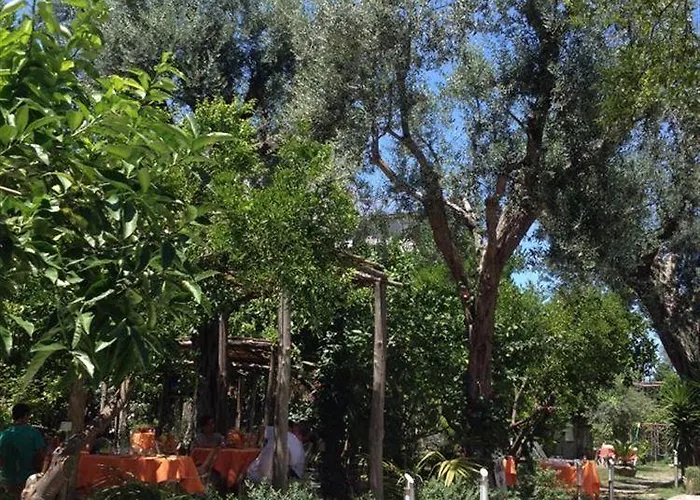 Artis Domus Relais & Maison d'hôtes Sorrente