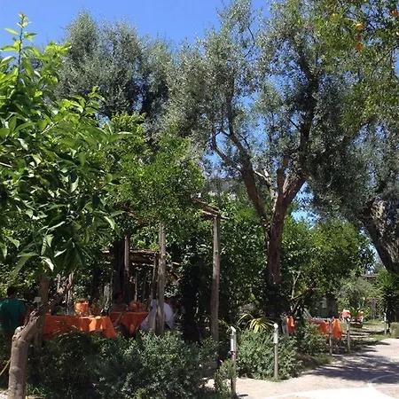 Artis Domus Relais & בית הארחה סורנטו