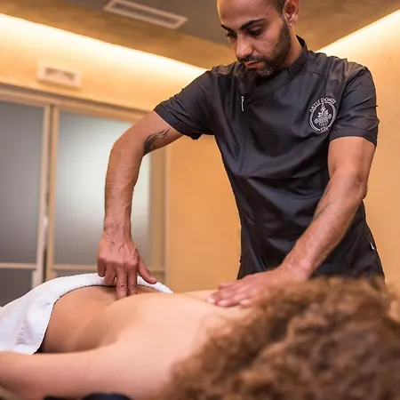 Artis Domus Relais & Casa de hóspedes 4*